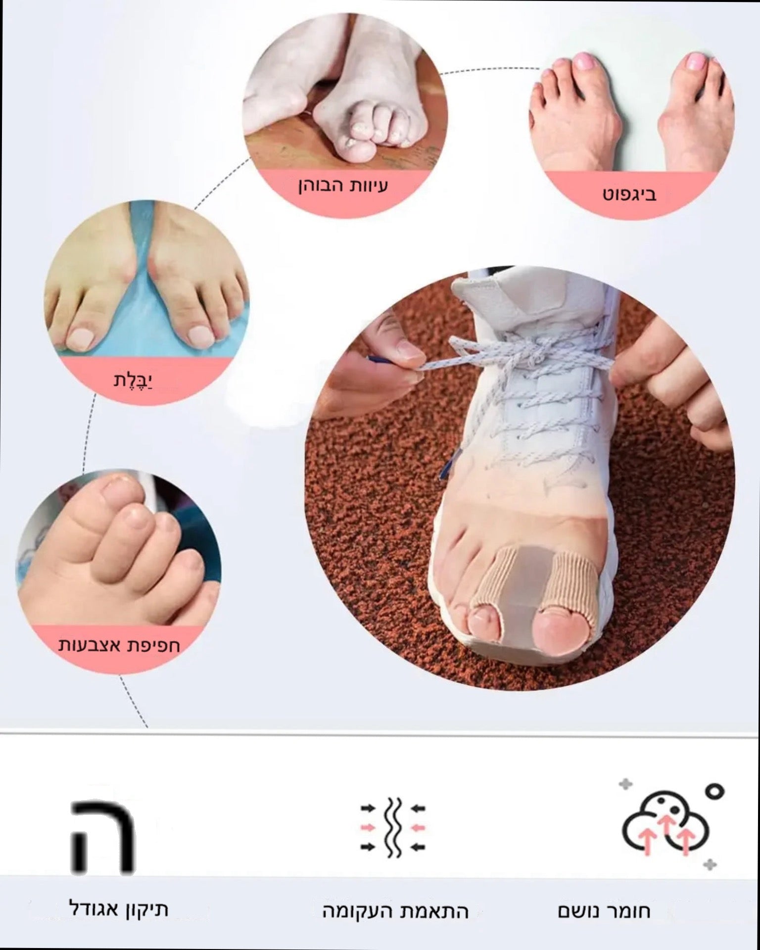 מפריד אצבעות אנטומי